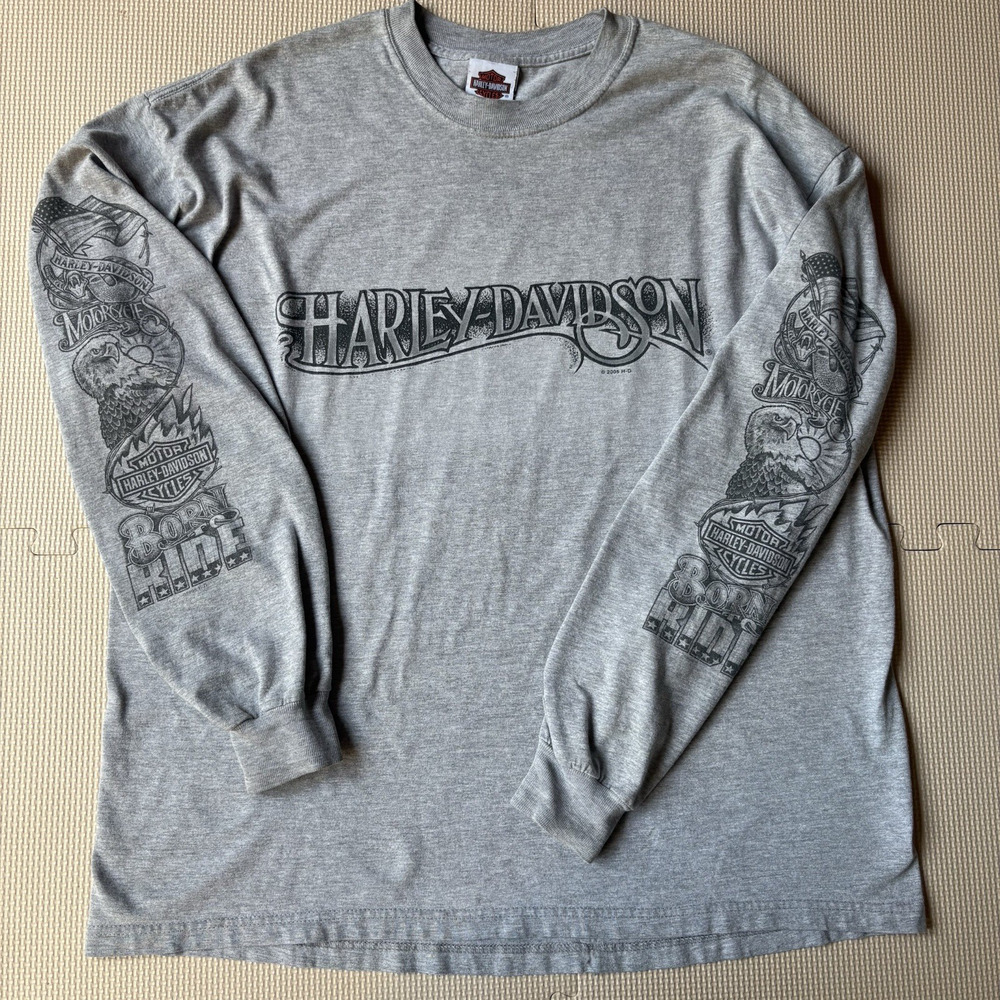 Vtg Harley Davidson Mens Long Sleeve Shirt SIze XL Carroll Iowa Eagle Snake Flag
